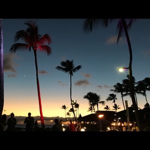 Meet your Posher, Cherie